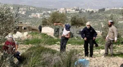 إصابة طفل ومسن في اعتداء للمستعمرين شرق بيت لحم بفلسطين