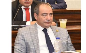   نصار: نجاحات الدبلوماسية المصرية بقيادة السيسي في 2025 أسهمت في حماية الأمن القومي 
