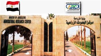 "متبقيات المبيدات" يختتم العام ببرامج تدريبية دولية لمتخصصين من الكاميرون وموريتانيا