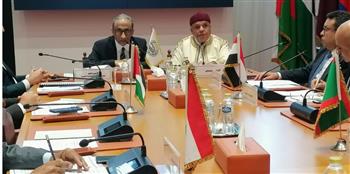   السفير محمدى الني يشيد بنهضة مصر ويؤكد دعمها المستمر للعمل العربي المشترك