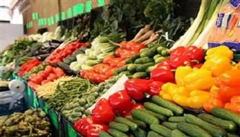   أسعار الخضروات اليوم