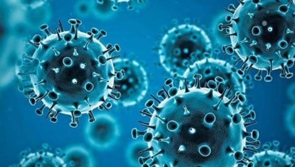 الصحة العالمية: الوضع الوبائي للفيروسات التنفسية بمصر لا يختلف عن دول إقليم شرق المتوسط