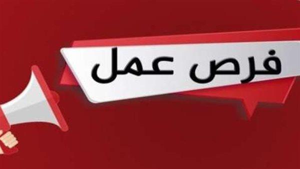 برواتب تصل إلى 20 ألف جنيه..  وزارة العمل توافر فرص عمل جديدة للشباب