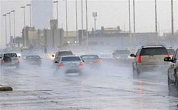   مدير مركز تغير المناخ يوضح أسباب التقلبات الجوية في الفترة الحالية