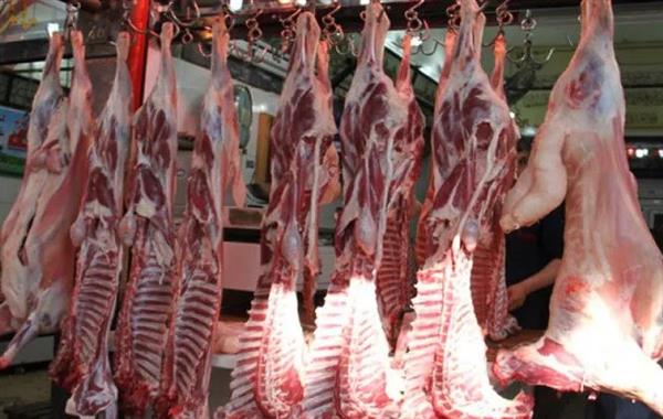 بـ300 جنيها.. انخفاض أسعار اللحوم فى هذه الأماكن