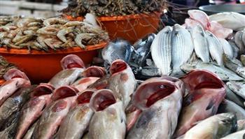 أسعار الأسماك والمأكولات البحرية في الإسكندرية اليوم