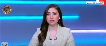   رئيس حزب إرادة جيل: مصر تدعو باستمرار إلى السلام وتحافظ على القضية الفلسطينية