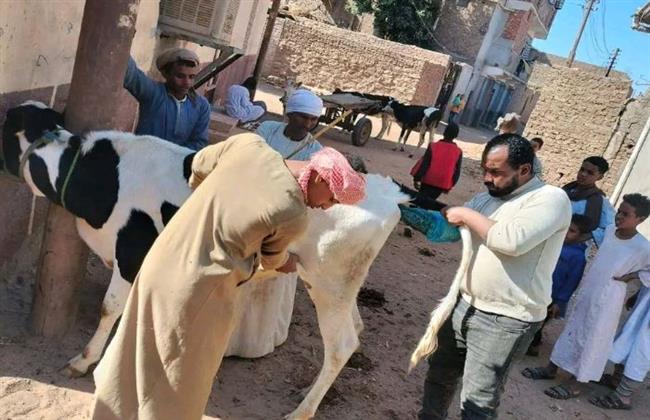 حصاد وانشطة هيئة الخدمات البيطرية للحفاظ على الثروة الحيوانيّة خلال شهر يناير 2025"