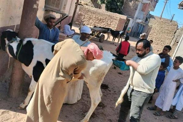 حصاد وانشطة هيئة الخدمات البيطرية للحفاظ على الثروة الحيوانيّة خلال شهر يناير 2025"