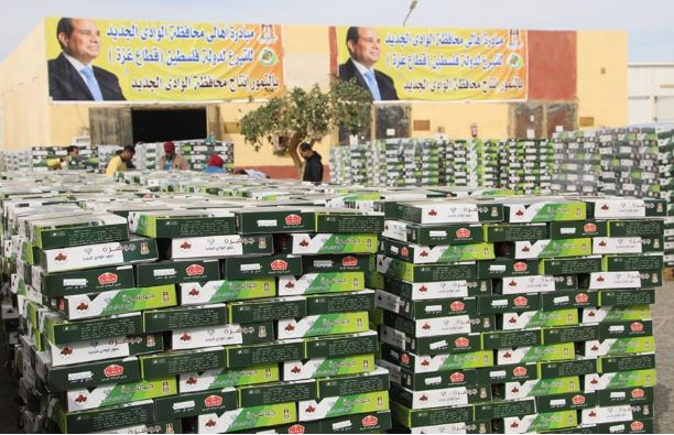 محافظ الوادي الجديد يوجه بالاستعداد لتيسير انطلاق قوافل المساعدات المتجهة لقطاع غزة