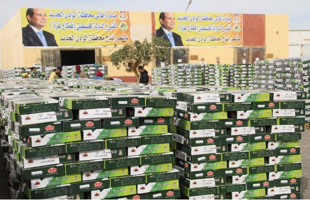 محافظ الوادي الجديد يوجه بالاستعداد لتيسير انطلاق قوافل المساعدات المتجهة لقطاع غزة