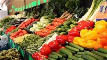   استقرار أسعار الخضروات في الأسواق اليوم