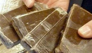 ضبط 27 كيلو مواد مخدرة متنوعة في حملات أمنية بدمياط