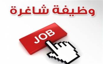   الحكومة تعلن عن وظائف شاغرة بشركة مياه الشرب والصرف الصحي..تعرف عليها