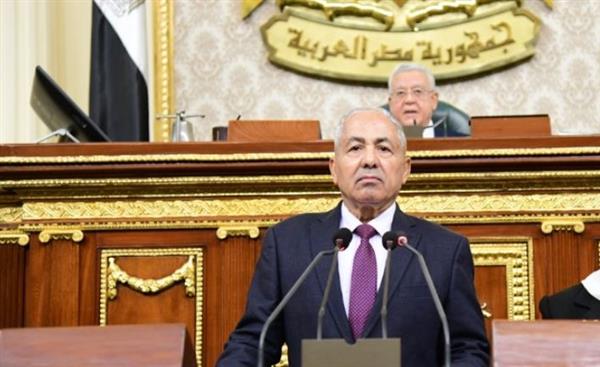 رئيس "دفاع النواب" يسلط الضوء على الجهود المصرية لإجهاض مخطط تهجير الفلسطينيين