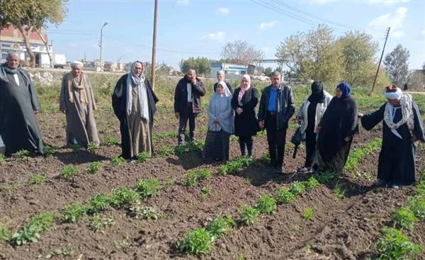 تكثيف الجهود الإرشادية من وزارة الزراعة لتنمية القطاع الزراعي بمحافظة الشرقية