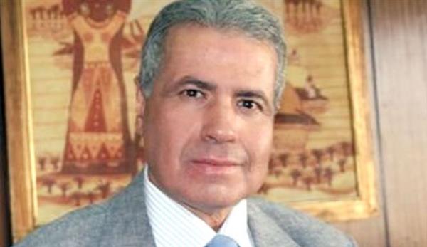 أشرف العشري: زيارة وفد الجامعة العربية للعريش تؤكد التعاون لدعم غزة