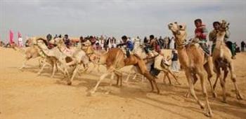   محافظ الإسماعيلية يتابع الاستعدادات النهائية لمهرجان الهجن في دورته العشرين