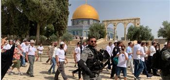   فلسطين: اقتحام الأقصى 21 مرة ورفع الآذان 47 وقتا بالحرم الإبراهيمي خلال يناير