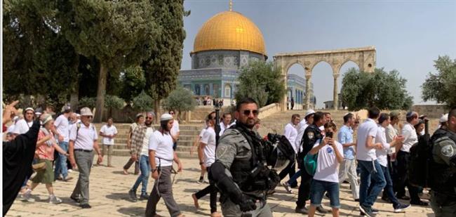 فلسطين: اقتحام الأقصى 21 مرة ورفع الآذان 47 وقتا بالحرم الإبراهيمي خلال يناير