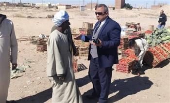   حملة لإزاله الإشغالات بشرق بمدينة قنا.. صور