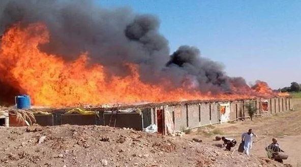 المعمل الجنائي يعاين موقع حريق مزرعة دواجن بالصف