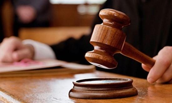 المشدد 5 سنوات لشقيقين تسببا فى عاهة مستديمة لفتاة بالقناطر الخيرية