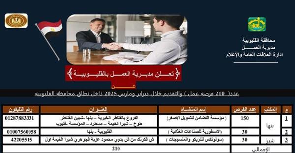 القليوبية تعلن عن 210 فرص عمل متنوعة