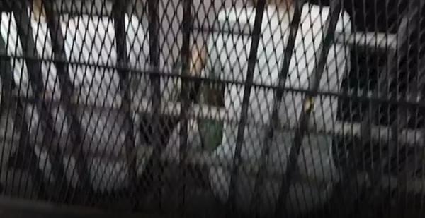 خلال ساعات.. نظر محاكمة متهمين بقضية «خلية داعش قنا»