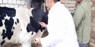 علاج وتحصين 4690 رأس ماشية وطائرا في قافلة بيطرية مجانية بالشرقية