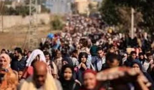 بلجيكا تؤكد احترام القانون الدولي وتدين التهجير القسري في فلسطين