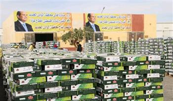   محافظ الوادي الجديد يتفقد قوافل المساعدات المتجهة إلى فلسطين