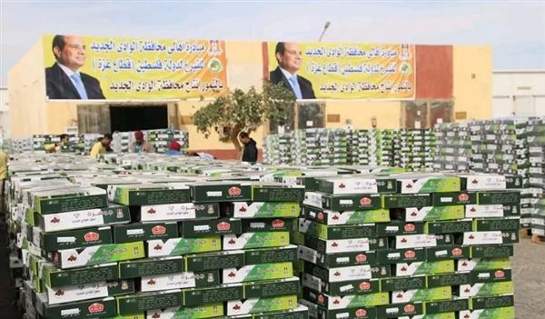 محافظ الوادي الجديد يتفقد قوافل المساعدات المتجهة إلى فلسطين
