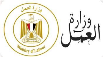 بالانفوجراف والفيديو .. حصاد وزارة العمل في 7 أيام