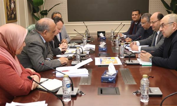 وزيرا الكهرباء وقطاع الأعمال يبحثان سبل التعاون في مجال الطاقة