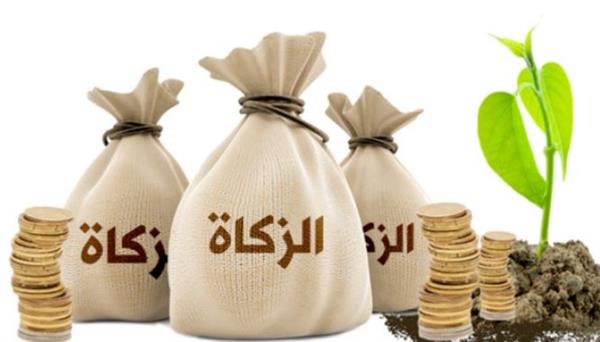 مشروعيتها ووقت إخراجها.. الإفتاء تعلن الحد الأدنى لفدية الصيام وزكاة عيد الفطر
