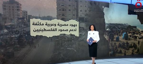 أمل الحناوي: مصر في مقدمة الدول العربية التي تبحث عن حل عادل للقضية الفلسطينية