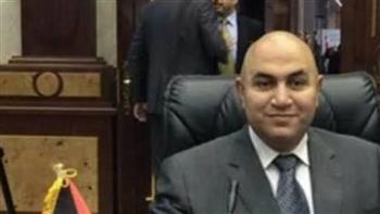   وهيب: تحركات مصرية على كل المستويات لدفع القضية الفلسطينية للمشهد العالمى