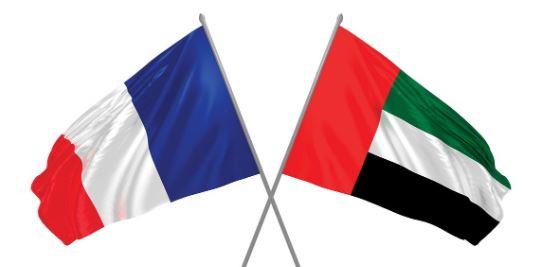 الإمارات وفرنسا تبحثان مجمل التطورات الإقليمية والدولية الراهنة