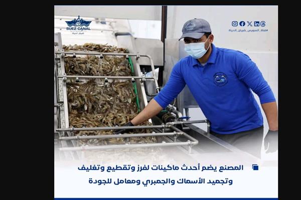 رئيس هيئة قناة السويس، شهد التشغيل التجريبي لمصنع تعبئة وتغليف الأسماك