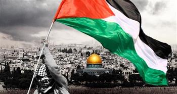   كيف ساهمت المواقف المصرية فى الحفاظ على القضية الفلسطينية؟