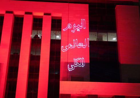اليوم العالمي للكلى.. الصحة تضيء مبنى الديوان العام بالعاصمة الإدارية بالأزرق والأحمر