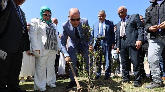 محافظ كفر الشيخ يغرس أول شجرة بالجامعة في بدء الأسبوع البيئي