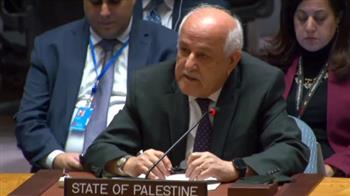   مندوب فلسطين بالأمم المتحدة: عائلات فلسطينية محيت بأكملها جراء عدوان الاحتلال