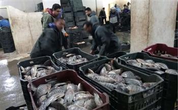   جهاز حماية وتنمية البحيرات يواصل أعمال الصيد لهذا العام في عدد من المواقع الإنتاجية