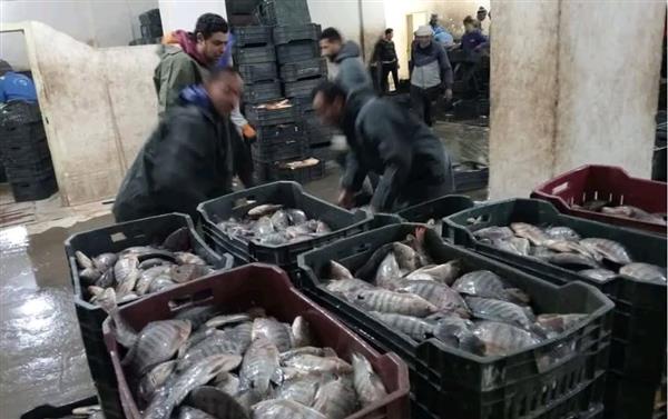 جهاز حماية وتنمية البحيرات يواصل أعمال الصيد لهذا العام في عدد من المواقع الإنتاجية