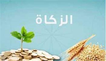   لماذا لم يتم تقدير الزكاة على صنف آخر غير القمح؟.. الإفتاء تجيب