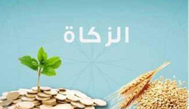 لماذا لم يتم تقدير الزكاة على صنف آخر غير القمح؟.. الإفتاء تجيب