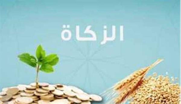 لماذا لم يتم تقدير الزكاة على صنف آخر غير القمح؟.. الإفتاء تجيب