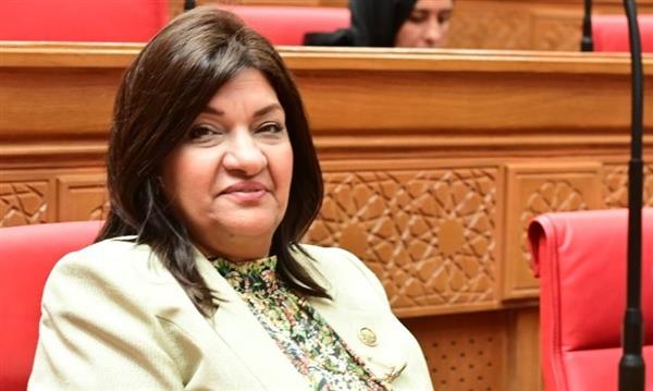 "صناعة النواب": ما يعرض في الدراما ليست الصورة الحقيقية لـ مصر